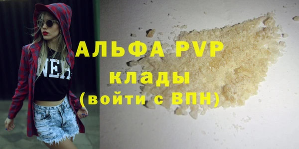 амф Новодвинск