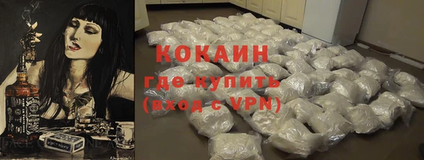дживик Новозыбков