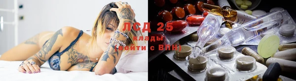 герыч Новокубанск