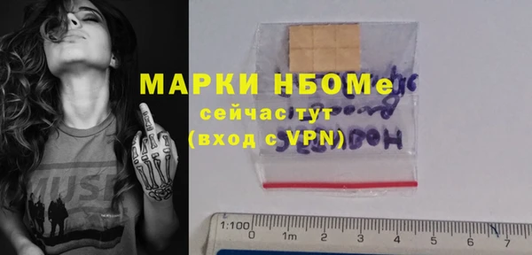 амф Новодвинск