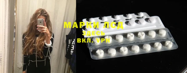 дживик Новозыбков