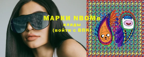 амф Новодвинск