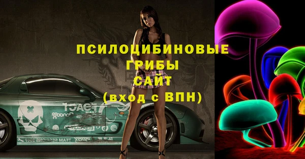 амф Новодвинск