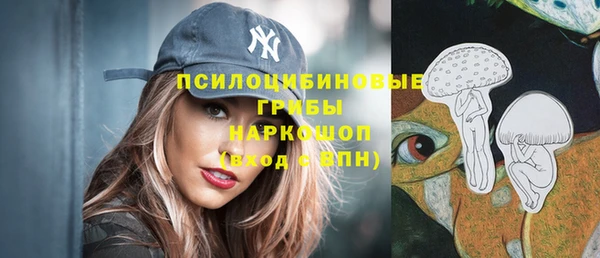 герыч Новокубанск