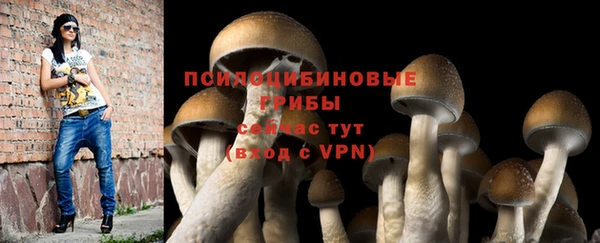 герыч Новокубанск
