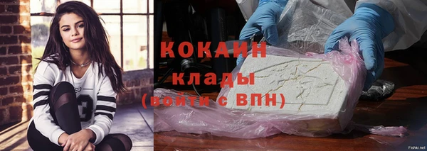 амф Новодвинск
