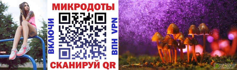 Галлюциногенные грибы Psilocybe Усть-Кут